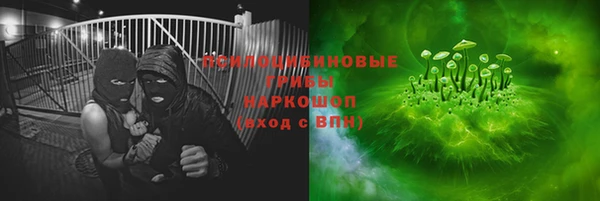 дмт Алзамай