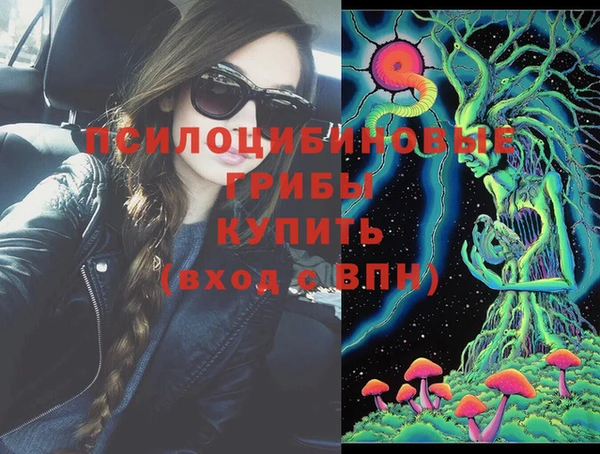 дмт Алзамай