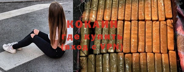 ешки Алексин