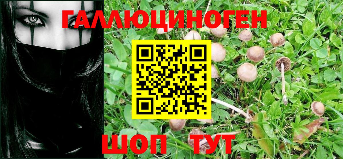 Галлюциногенные грибы мицелий Киров