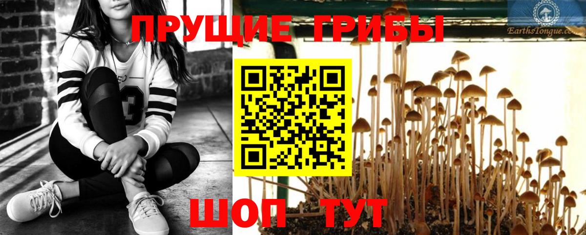 Киров  Галлюциногенные грибы ЛСД  Вход с VPN 